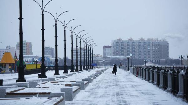 В Амурской области ограничили энергопотребление из-за нарушения работы ТЭЦ