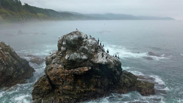 Ученые взяли пробы в Охотском море после сброса воды с 